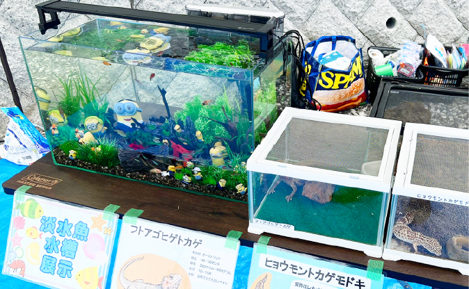 移動水族館